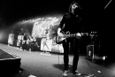 Taylor York