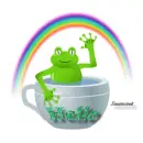 Frog for Judy