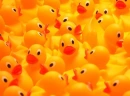 Rubber Duckie