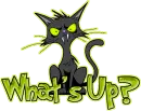 What's Up?