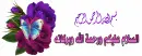 Salam