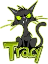 Tracy