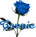 blue rose connie