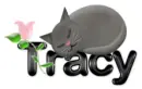 tracy