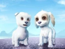 cute things..i want