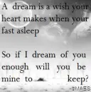 A dream is a wish your heart makes