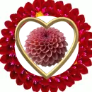 red