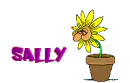 Sally