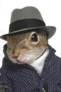 Squirell guy