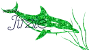 Jirzie Dolphin