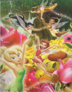 FAIRIES