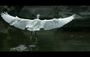 EGRET