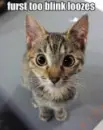 Blink