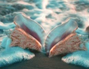OCEAN