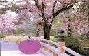 SCENERY