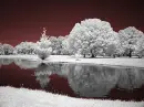 SCENERY