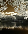 SCENERY