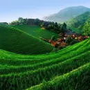 SCENERY