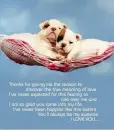 Two puppies laying in cot