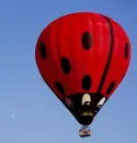 lady bird hot air balloon xx