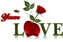 Love-Yam