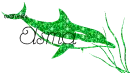 Asma Green Dolphin