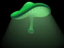 mushroom