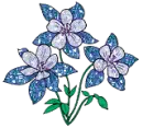 blue flowers