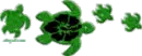 turtles