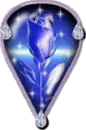blue rose in a rain drop
