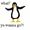 you talkin to me