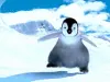 dancing penguin