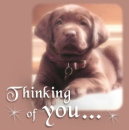 thinking of you