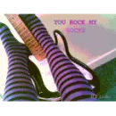rock my socks 