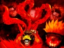 Nine Taild Fox