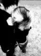 emo kiss:*
