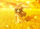 Golden Field
