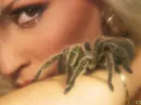 danger
