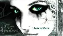 spiderslove
