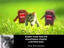 Domo and Cats