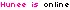 Hunee is online