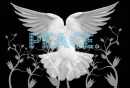 PEACE