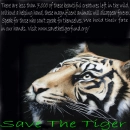 Save The Tigers