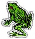 Toad