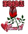 LOIDA loves it