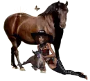 MARE, FOAL AND COWGIRL