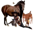 Karen horses and saddle
