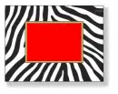 Jane loves it-zebra