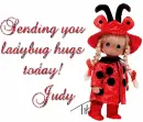 Sending you ladybug hugs today Judy