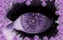 dandelion eye in purple